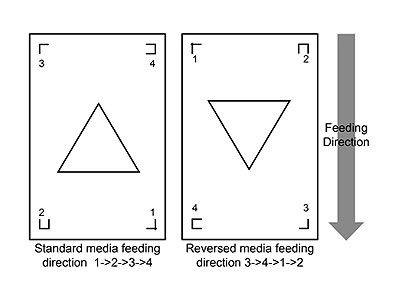 Auto Rotation AutoRotation-new