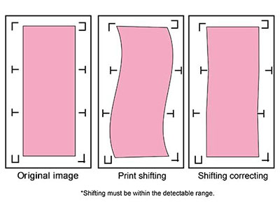 Segmental Positioning RXII_Seg